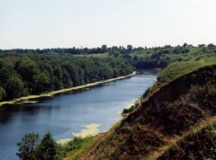 Река Воронеж ниже по течению города Воронеж. Фотография 2010 года.
